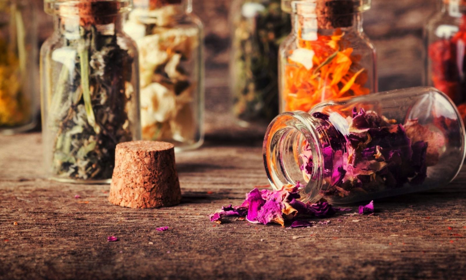 Florais e Essências Vibracionais Despertar Feminino®